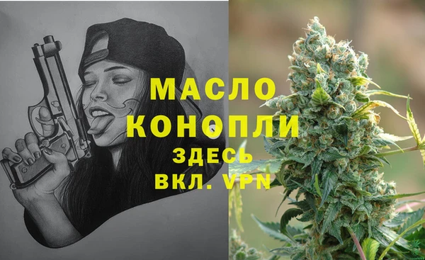 мдпв Володарск