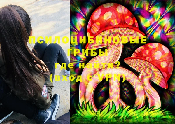 мдпв Володарск