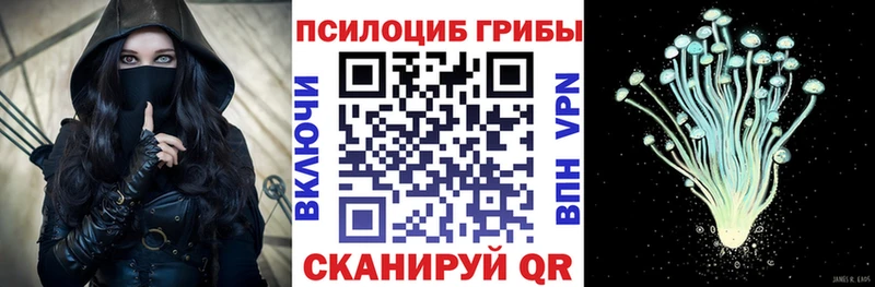 Псилоцибиновые грибы Psilocybe  Купить закладки  Темников 